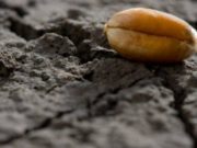 BEREQETI I ZOTIT… Njeriu – pjesë e Tokës