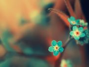 PASHA ALLAHUN TANI JAM DUKE E PARË VETEN NË XHENET!!