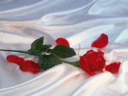 A ka të drejta vjehrra mbi nusen?