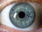 Mësysh që shkaktohet nga syri njerëzor