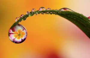 ALLAHU KUR TË SPROVON, TË DONË!!