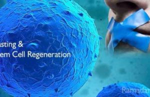 Studimi i fundit: Agjërimi ju bën më të mençur