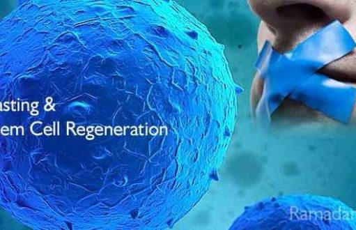 Studimi i fundit: Agjërimi ju bën më të mençur