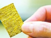 A lejohen te mbahen hajmalite?