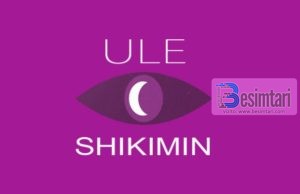 SHKAQET QË NDIHMOJNË ULJEN E SHIKIMIT