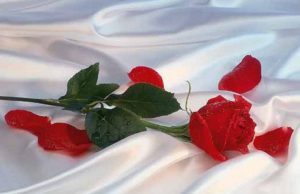 A ka të drejta vjehrra mbi nusen?