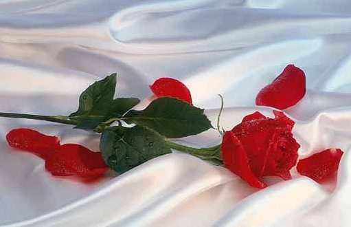 A ka të drejta vjehrra mbi nusen?