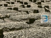 A takohen shpirtrat e të gjallëve me ato të të vdekurve?