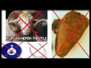 Unë që kam mbajtur hajmali, a më falë Zoti nëse pendohem?!