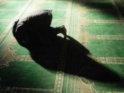 Braktisja e veprës së mirë për shkak frikës nga syefaqësia!