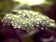 MOS E LEJO ASKËND TA NDRYSHON GJENDJEN SHPIRTËRORE!!