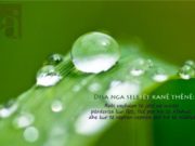 KËNAQËSINË E ALLAHUT TË SYNOJMË