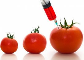 Perimet me simulantë, si t’i dallojmë?