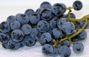 Ky ishte Muhamedi alejhi selam