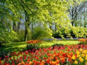 I Dërguari alejhi selam i ka premtuar Xhenetin atij që bën këtë vepër