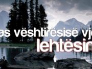 PAS VËSHTIRËSISË VJEN LEHTËSIMI | Mjeksia Islame