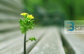 SHKAQET QË TË SHPIEJNË DREJT LUMTURISË | Besimtari.com