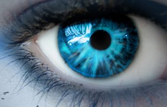 Mësyshi – Argumentet e ekzistimit, teknikat e sherimit