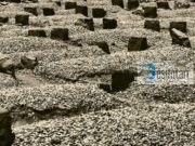 A takohen shpirtrat e të gjallëve me ato të të vdekurve?