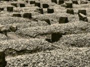 ÇKA I BËN DOBI TË VDEKURIT