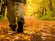 FJALA E VËRTETË TEK SUNDIMTARI TIRAN