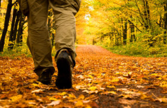 FJALA E VËRTETË TEK SUNDIMTARI TIRAN