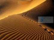 A dëshiron të kesh shpërblim sa pesëdhjetë sahabe?