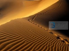 A dëshiron të kesh shpërblim sa pesëdhjetë sahabe?