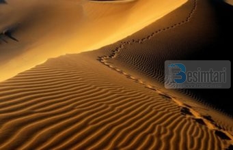 A dëshiron të kesh shpërblim sa pesëdhjetë sahabe?