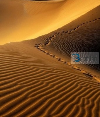 A dëshiron të kesh shpërblim sa pesëdhjetë sahabe?