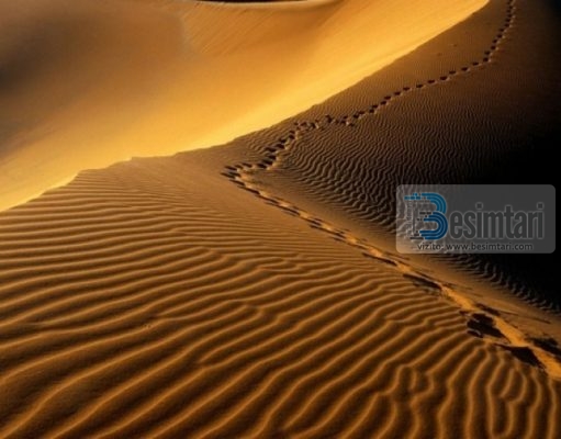 A dëshiron të kesh shpërblim sa pesëdhjetë sahabe?