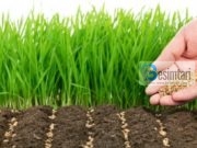 Bereqeti i Zotit është në punimin e Tokës