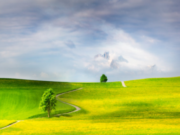 Si të ndërtosh kështjella në Xhenet