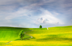 Si të ndërtosh kështjella në Xhenet