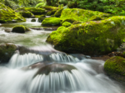 5 faljet e namazit fshijnë gabimet