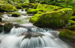 5 faljet e namazit fshijnë gabimet