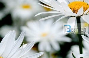 Vajza jetime dhe vlera e lutjes !