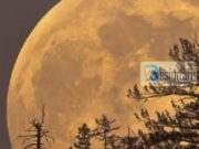 Dijetarë të shquar e të ngritur në shumë fusha të dijes