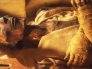 Kur në vitin 1981 erdhi në Francë trupi i Faraonit (histori madhështore)