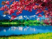 70 Porositë Të Muhammedit sallallahu alejhi selam