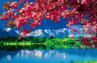 70 Porositë Të Muhammedit sallallahu alejhi selam