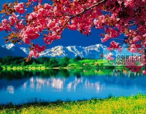 70 Porositë Të Muhammedit sallallahu alejhi selam