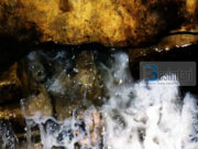 Uji më i mirë në faqen e dheut është uji i Zemzemit