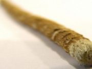 Vlera e pastrimit me misvak dhe forma e tij