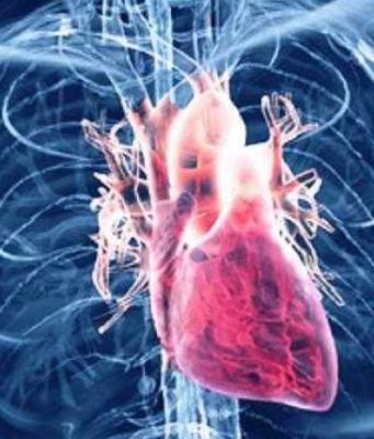 Agjërimi si ndikon në organizëm