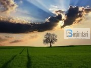 Rrëfimi për njeriun të cilit Allahu ia plotësoi çdo dëshirë