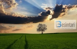 Rrëfimi për njeriun të cilit Allahu ia plotësoi çdo dëshirë