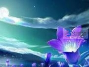 MOTRA IME, XHENETI ËSHTË MË MERITOR!!