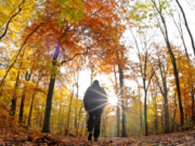 Shëtitja shëron depresionin dhe harresën