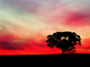 Endrra që pa profeti Muhamed alejhi selam